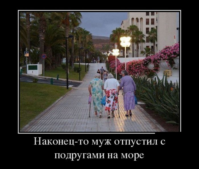 Демотиваторы среды (30 картинок)