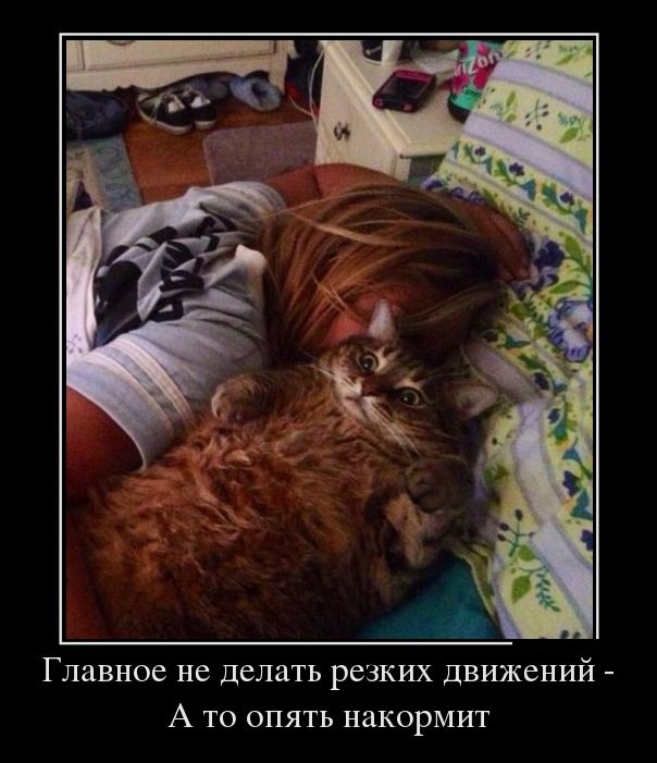 Демотиваторы среды (30 картинок)