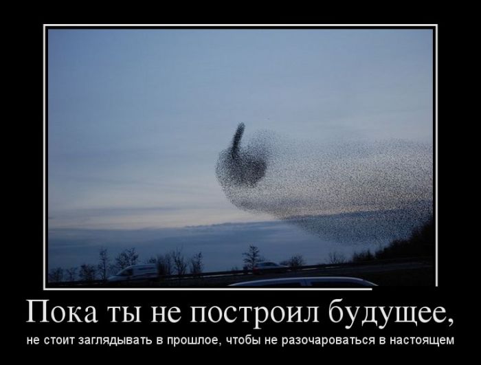 Демотиваторы среды (30 картинок)