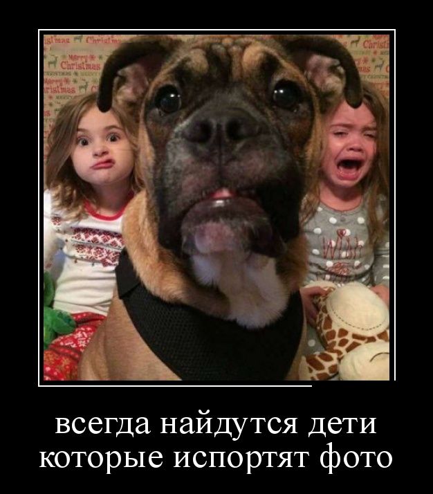 Демотиваторы среды (30 картинок)