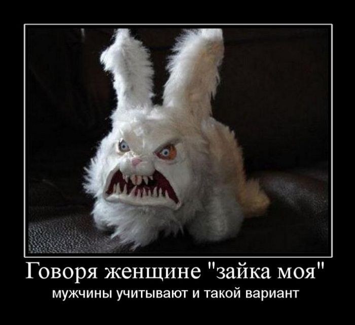 Демотиваторы среды (30 картинок)