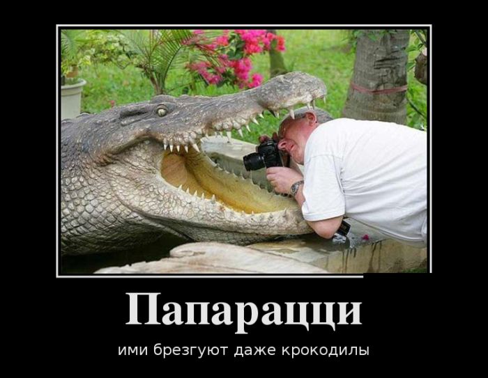 Демотиваторы среды (30 картинок)