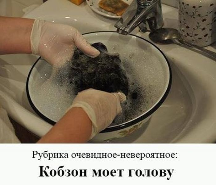 ���������� �������� �������� (30 ��������)