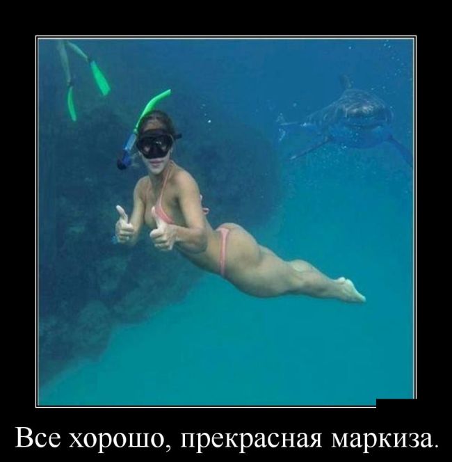 Демотиваторы вторника (30 картинок)