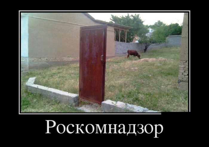 Демотиваторы вторника (30 картинок)
