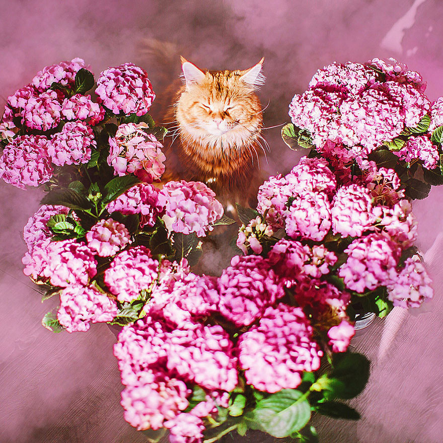       :    ! (26 )