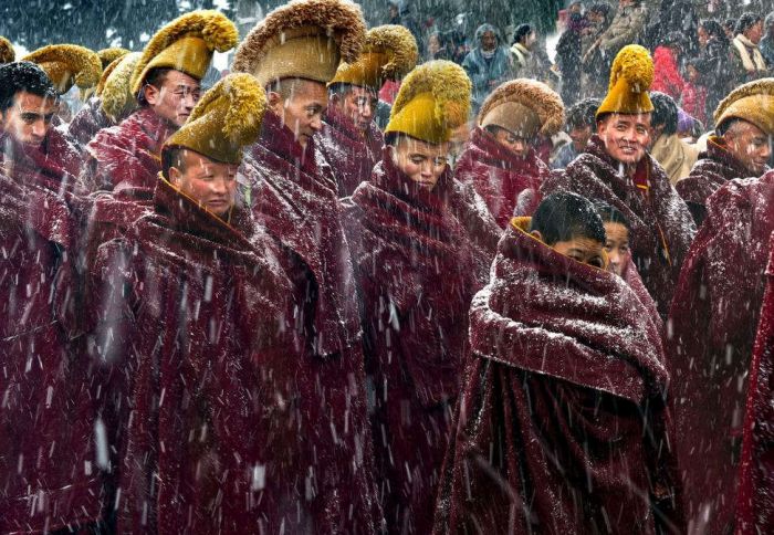 Лучшие снимки 2015 года по версии Sony World Photography Awards (15 фото)