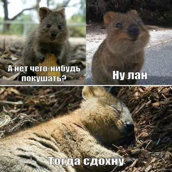���������� �������� ������������ (27 ��������)
