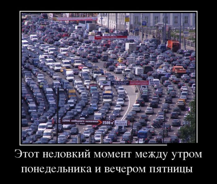 ������������ ������������ (30 ��������)