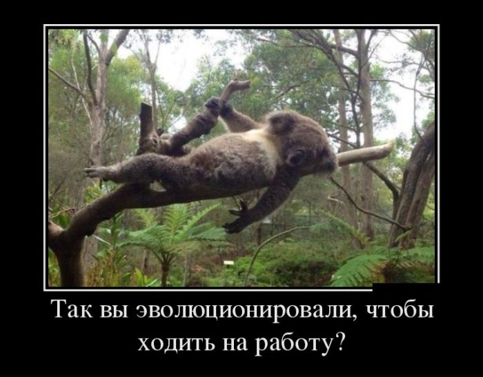 ������������ ������������ (30 ��������)