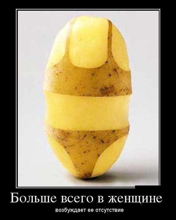 ������������ ������������ (30 ��������)