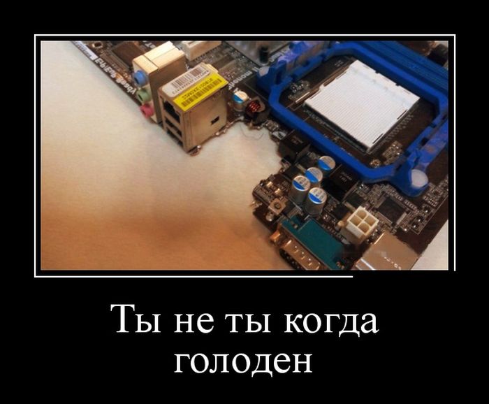 ������������ ������������ (30 ��������)