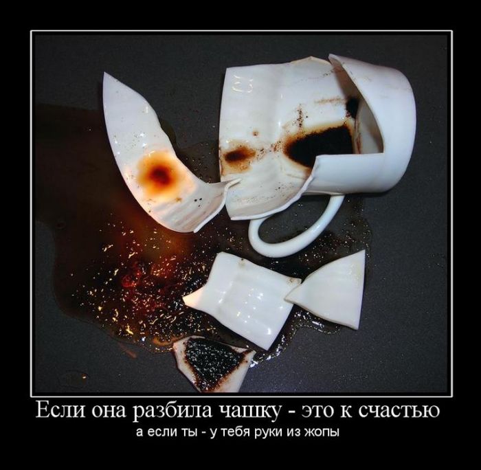 ������������ ������������ (30 ��������)