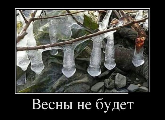 ������������ ������������ (30 ��������)