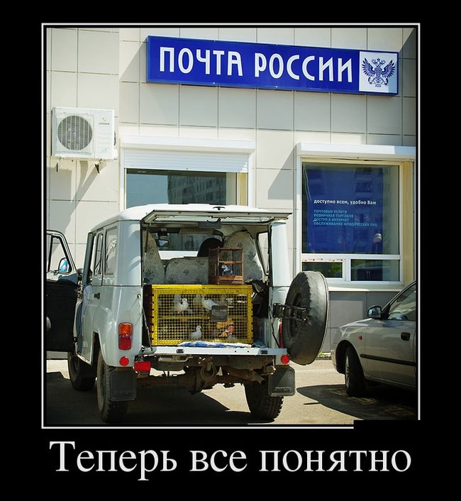 ������������ ������������ (30 ��������)