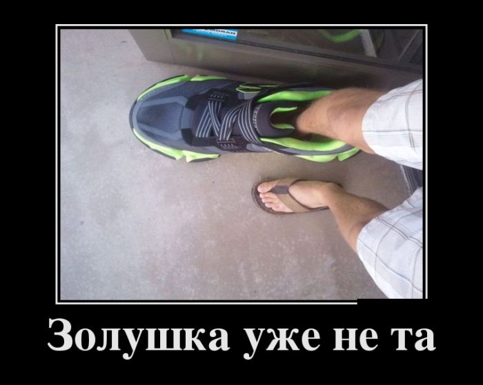 ������������ ������������ (30 ��������)