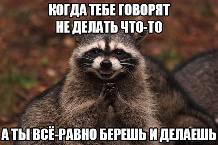 Прикольные картинки вторника (30 картинок)