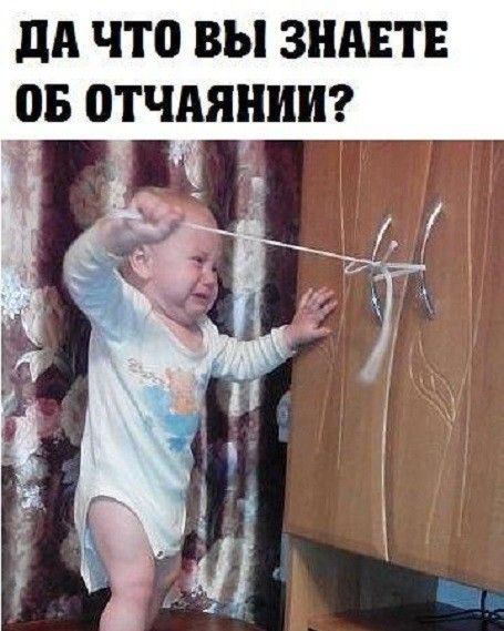 Прикольные картинки вторника (26 картинок)