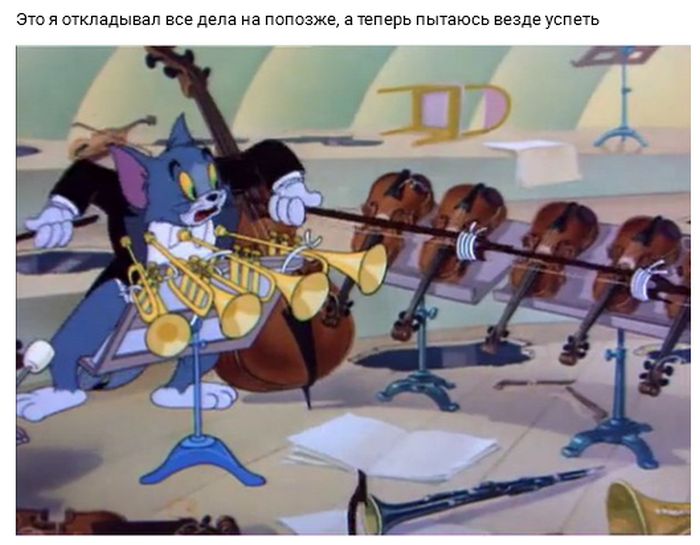 Прикольные картинки четверга (30 картинок)