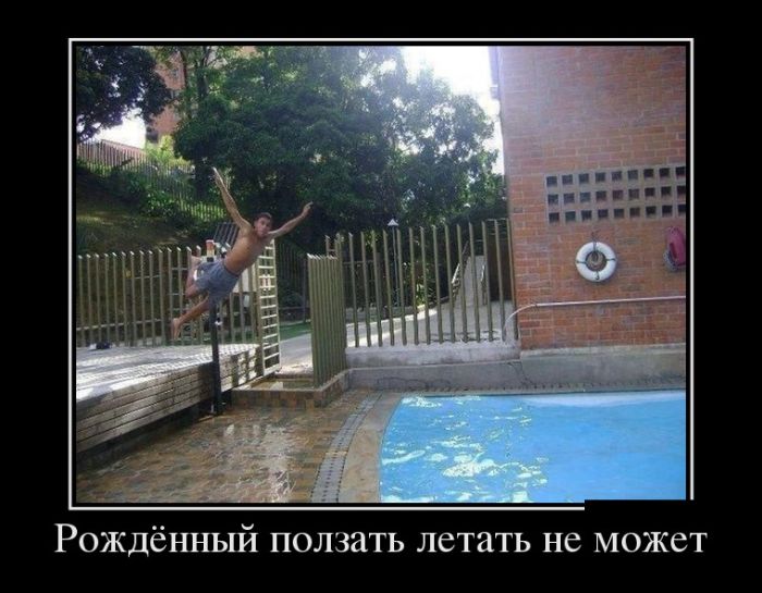 Демотиваторы четверга (30 картинок)