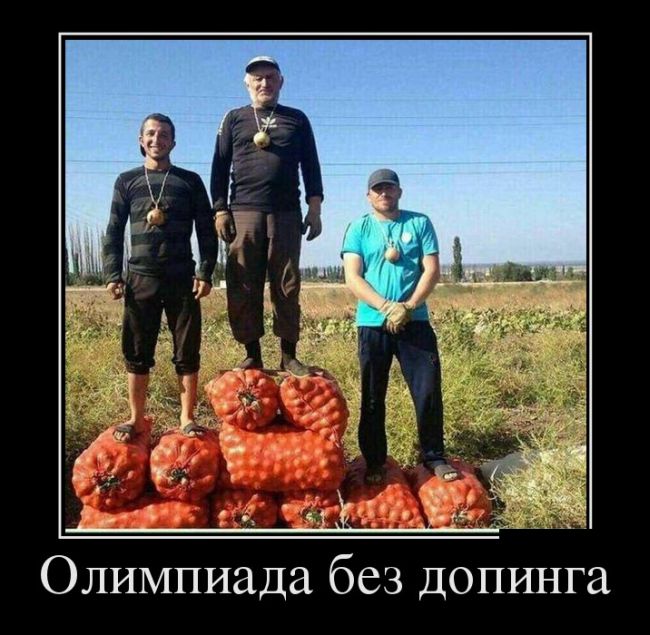 Демотиваторы четверга (30 картинок)