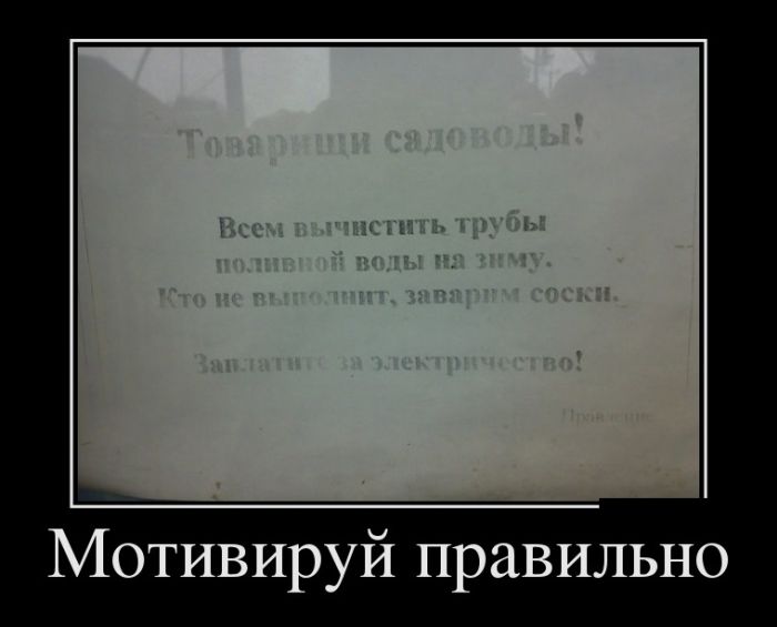 Демотиваторы четверга (30 картинок)