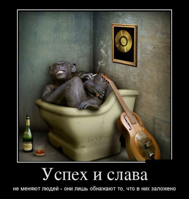 Демотиваторы четверга (30 картинок)