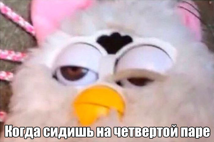 ���������� �������� ������� (30 ��������)