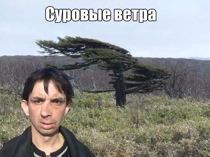 ���������� �������� ������� (30 ��������)