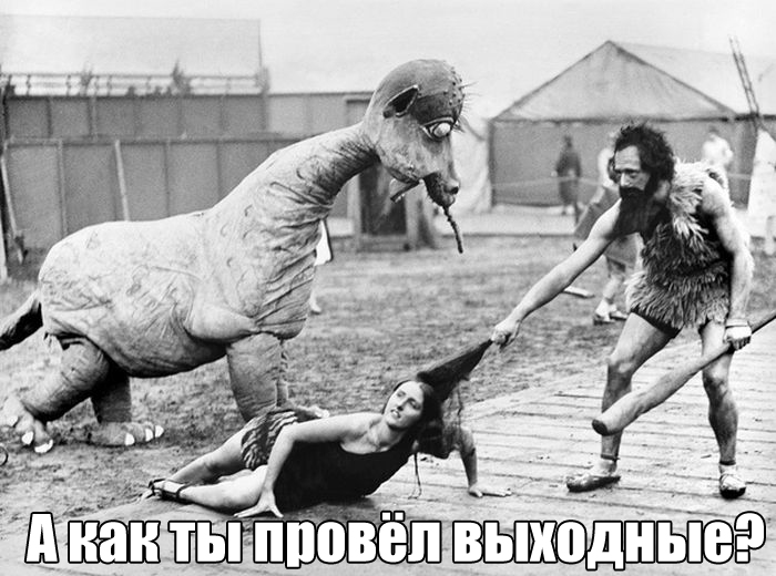 Прикольные картинки вторника (30 картинок)
