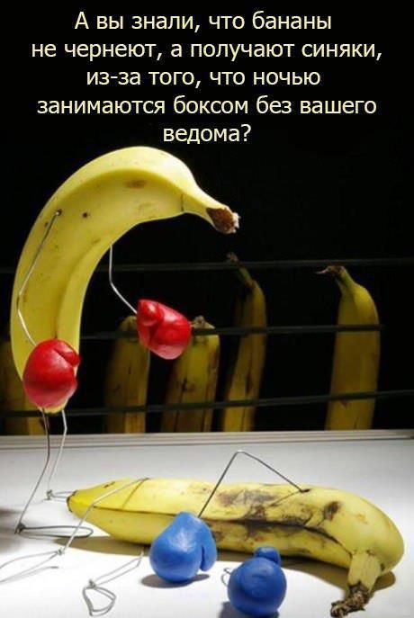 Прикольные картинки вторника (30 картинок)