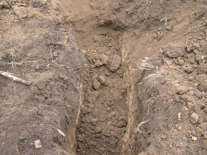 Последний бой снайпера, санитара и автоматчика на Миус-фронте (7 фото)