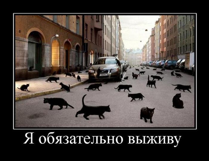 Демотиваторы среды (30 картинок)