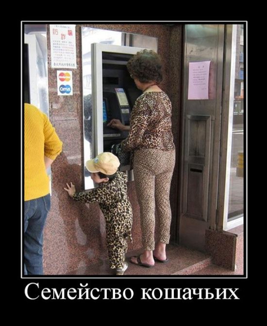 Демотиваторы среды (30 картинок)