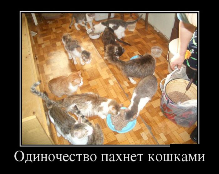 Демотиваторы среды (30 картинок)