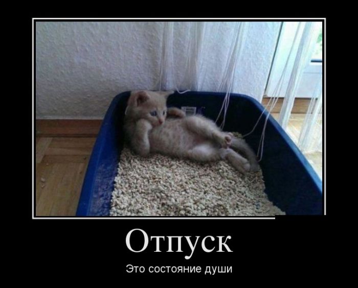 Демотиваторы среды (30 картинок)