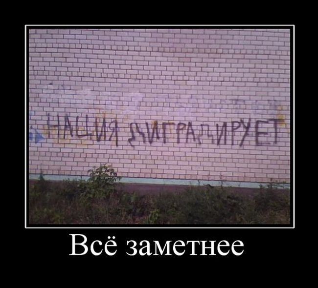 Демотиваторы среды (30 картинок)