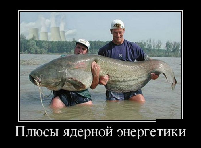 Демотиваторы среды (30 картинок)
