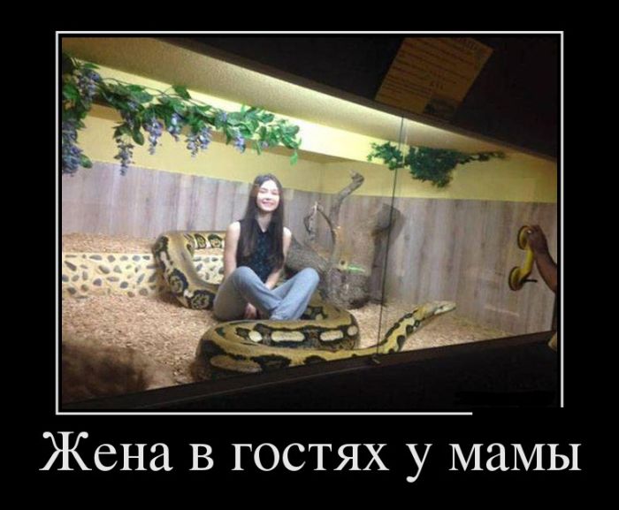 Демотиваторы среды (30 картинок)