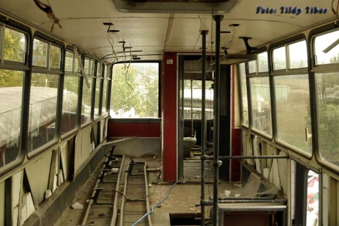 Ikarus 695 - ���������� �������, ������� ��� � �� ����� � ����� (9 ����)