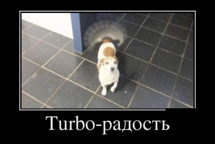������������ ������������ (30 ��������)
