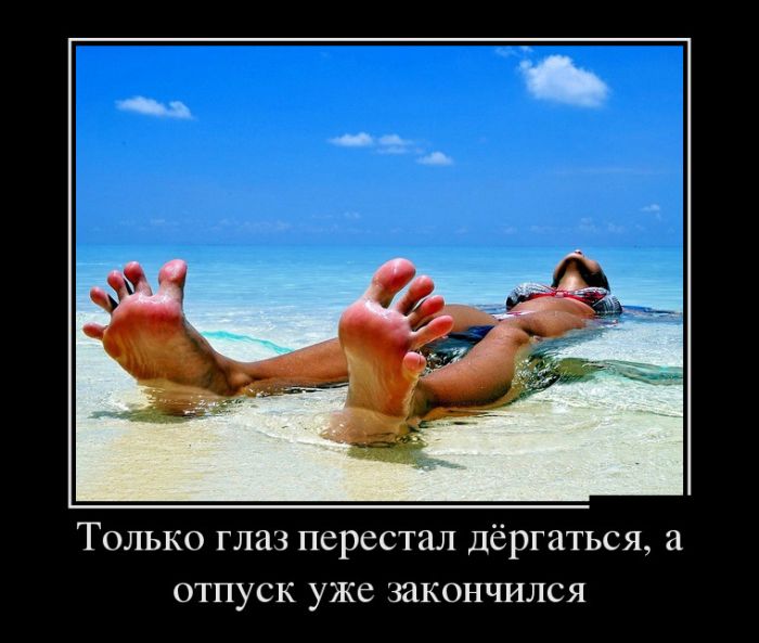 ������������ ������������ (30 ��������)