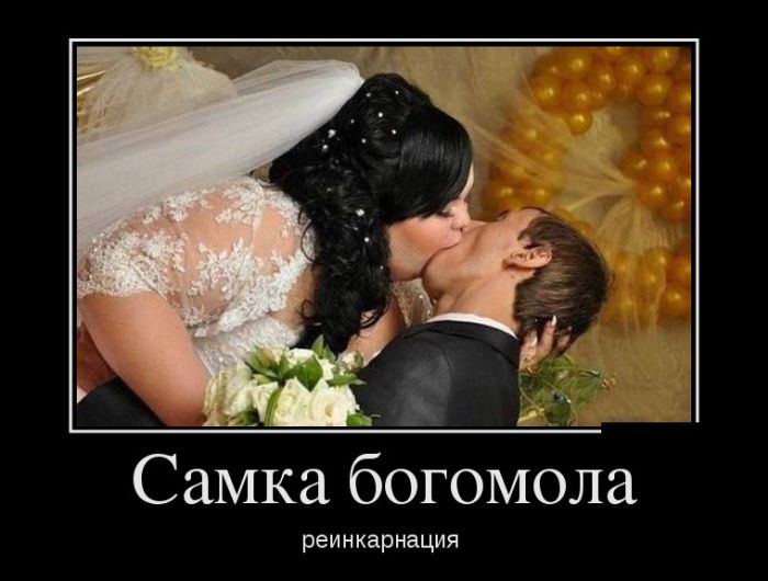 ������������ ������������ (30 ��������)
