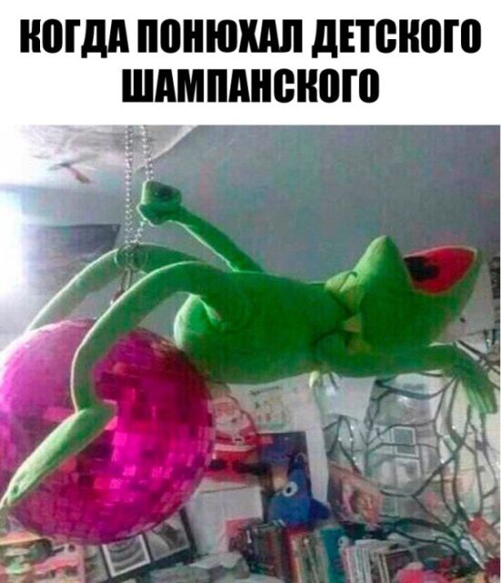 ���������� �������� ����������� (30 ��������)