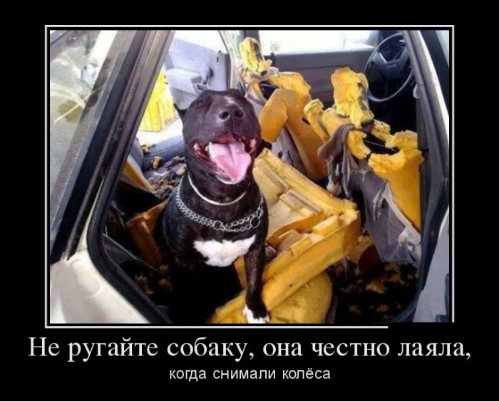 ������������ �������� (30 ��������)