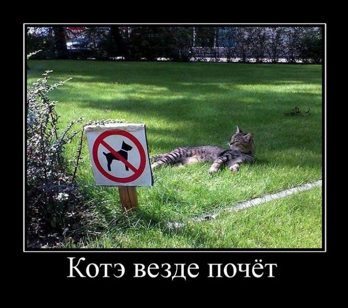 ������������ �������� (30 ��������)