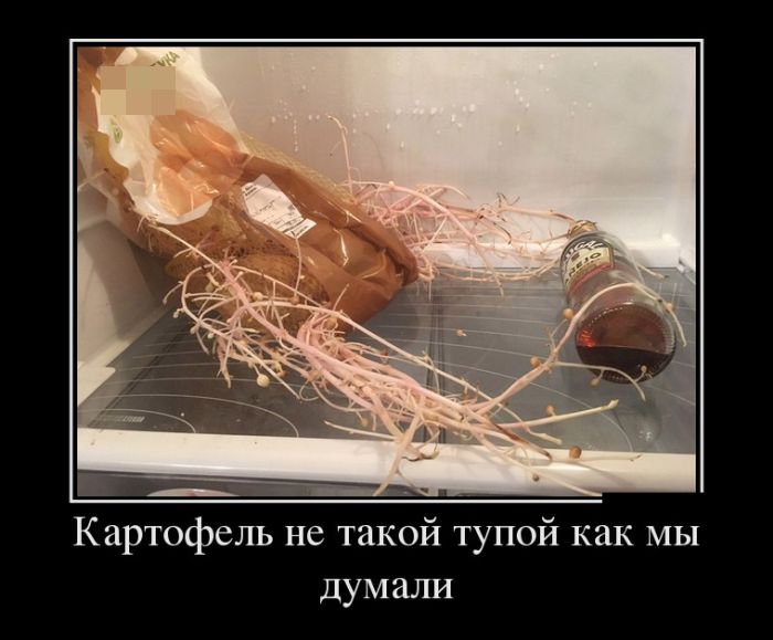 ������������ �������� (30 ��������)