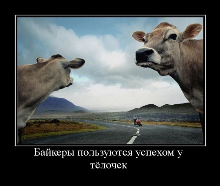 ������������ �������� (30 ��������)