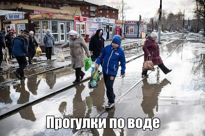 ���������� �������� �������� (23 ��������)