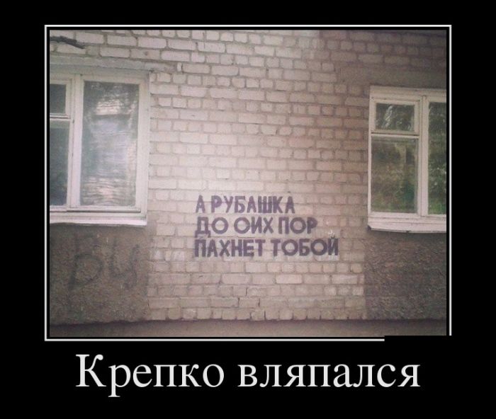 ������������ �������� (30 ��������)